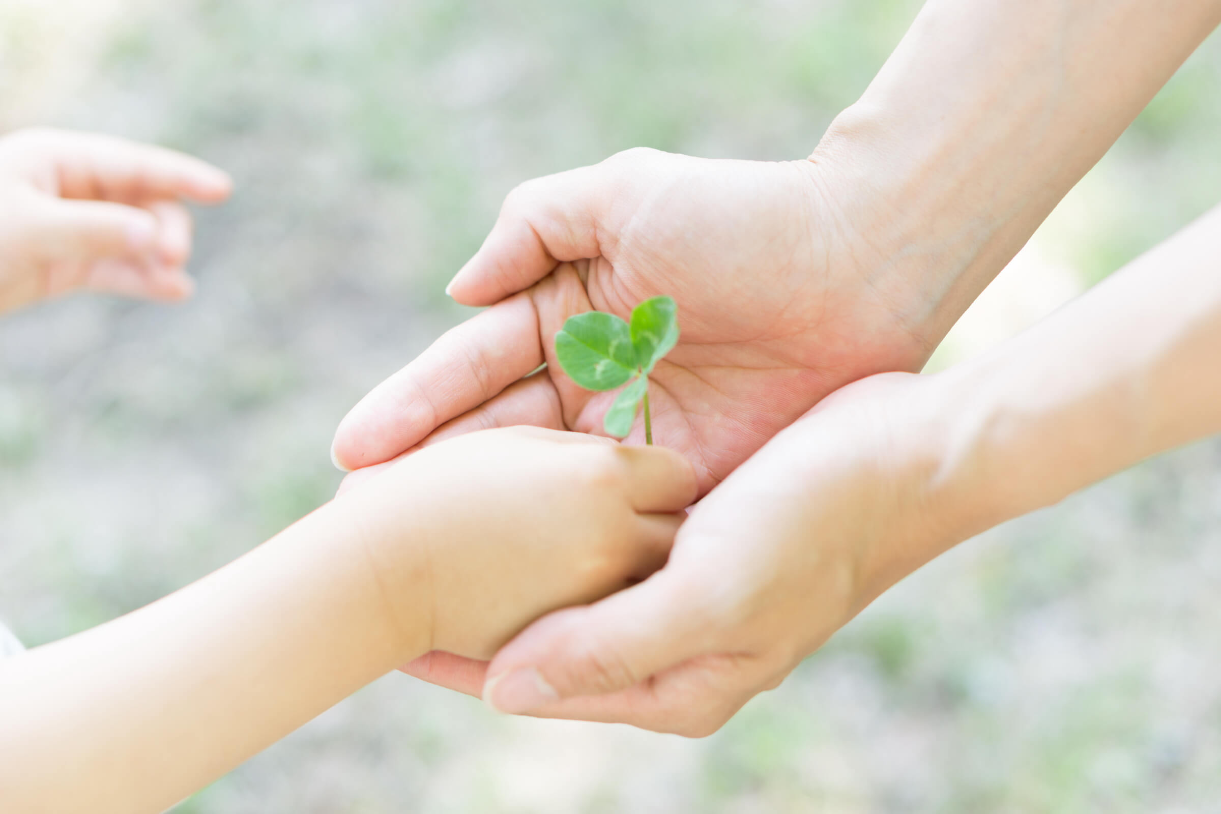 Lapolis hand with leaf